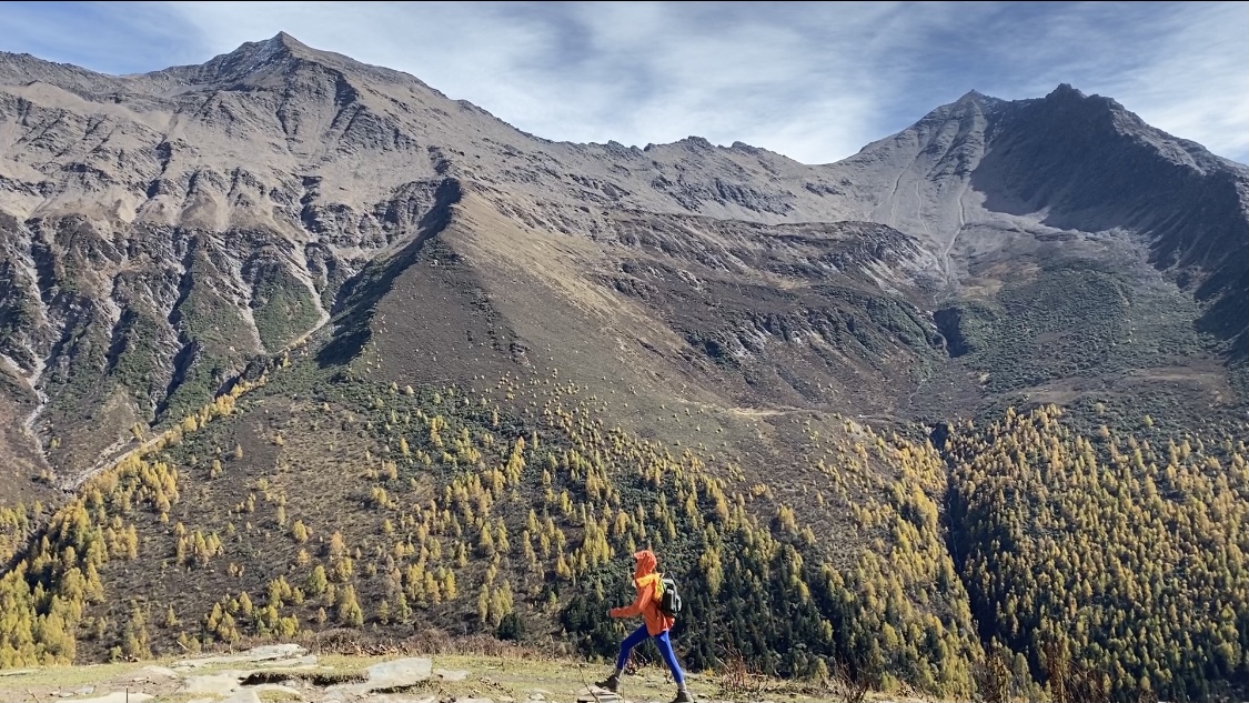 蓝莓肚脐眼里的霉菌